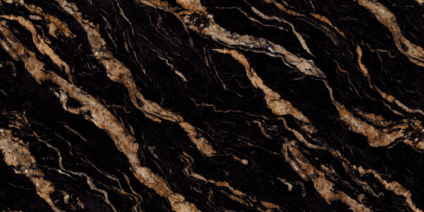 Black Fusion - Image 2