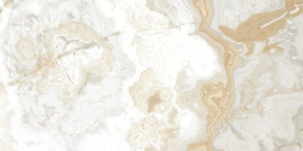 Delmare - Image 2