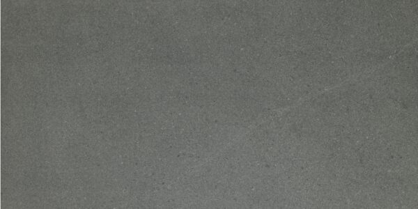 Milton Dolphin - Image 4