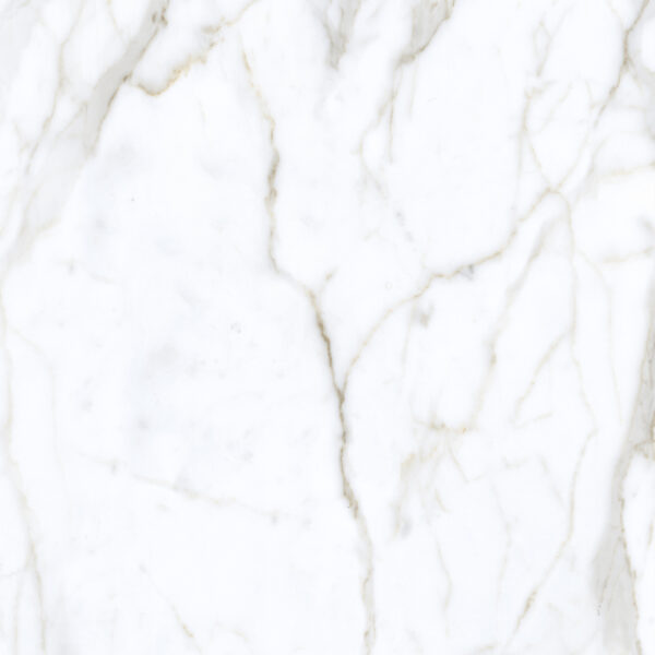 Orobico White - Image 9