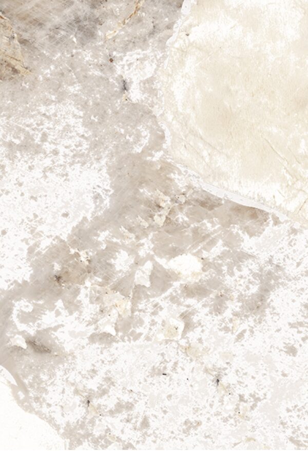 PATAGONIA ECRU page 0001