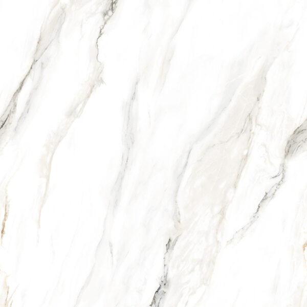 Alient Carrara - Image 3