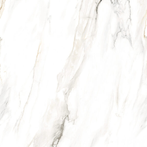 Alient Carrara - Image 5