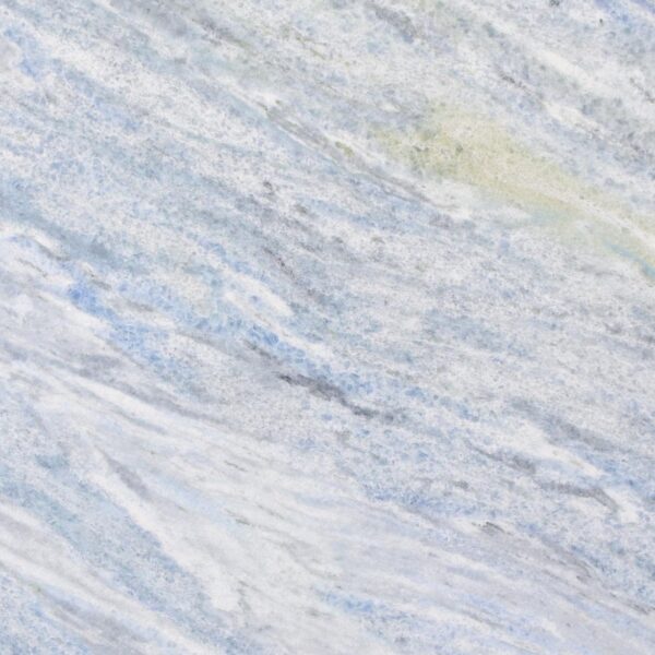 Celestia Blue-Face Celestia Blue Face