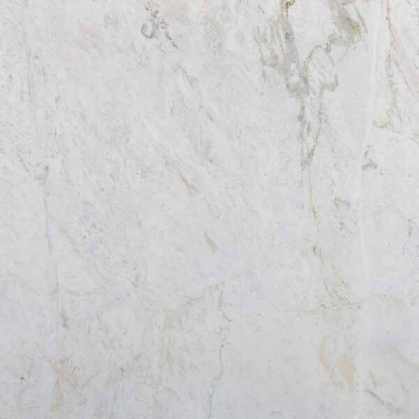 Imperial Mataro-Face Imperial Mataro Face