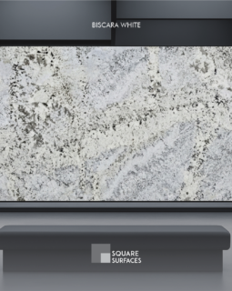 Biscara White-Website Biscara White-Website